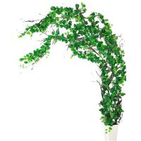 uploads/erp/collection/images/Home Garden/CongDing/XU0612408/img_b/XU0612408_img_b_5